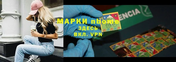 молекула духа Богданович