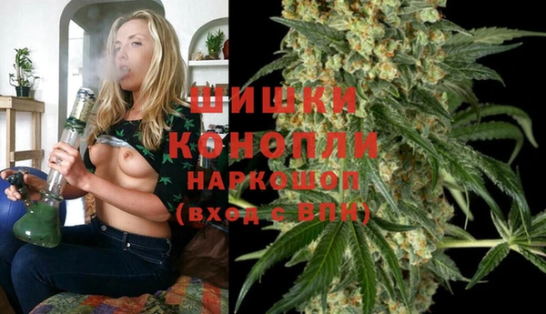 молекула духа Богданович
