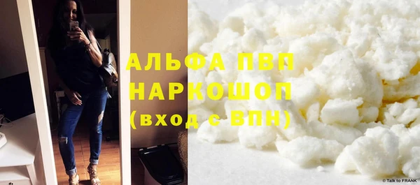 молекула духа Богданович