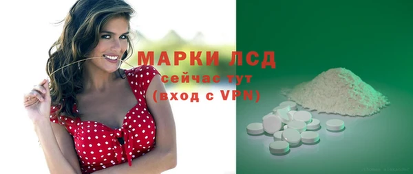 спиды Бородино