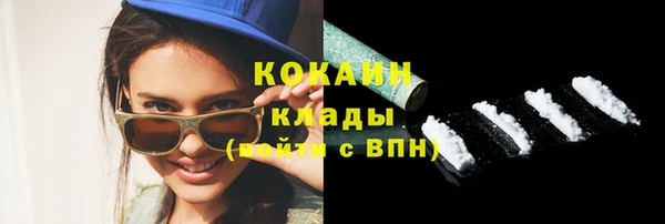 молекула духа Богданович
