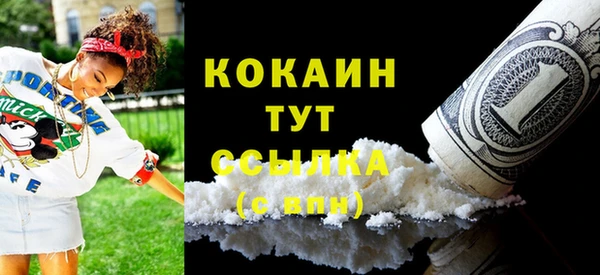 молекула духа Богданович