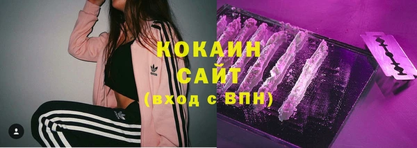 молекула духа Богданович